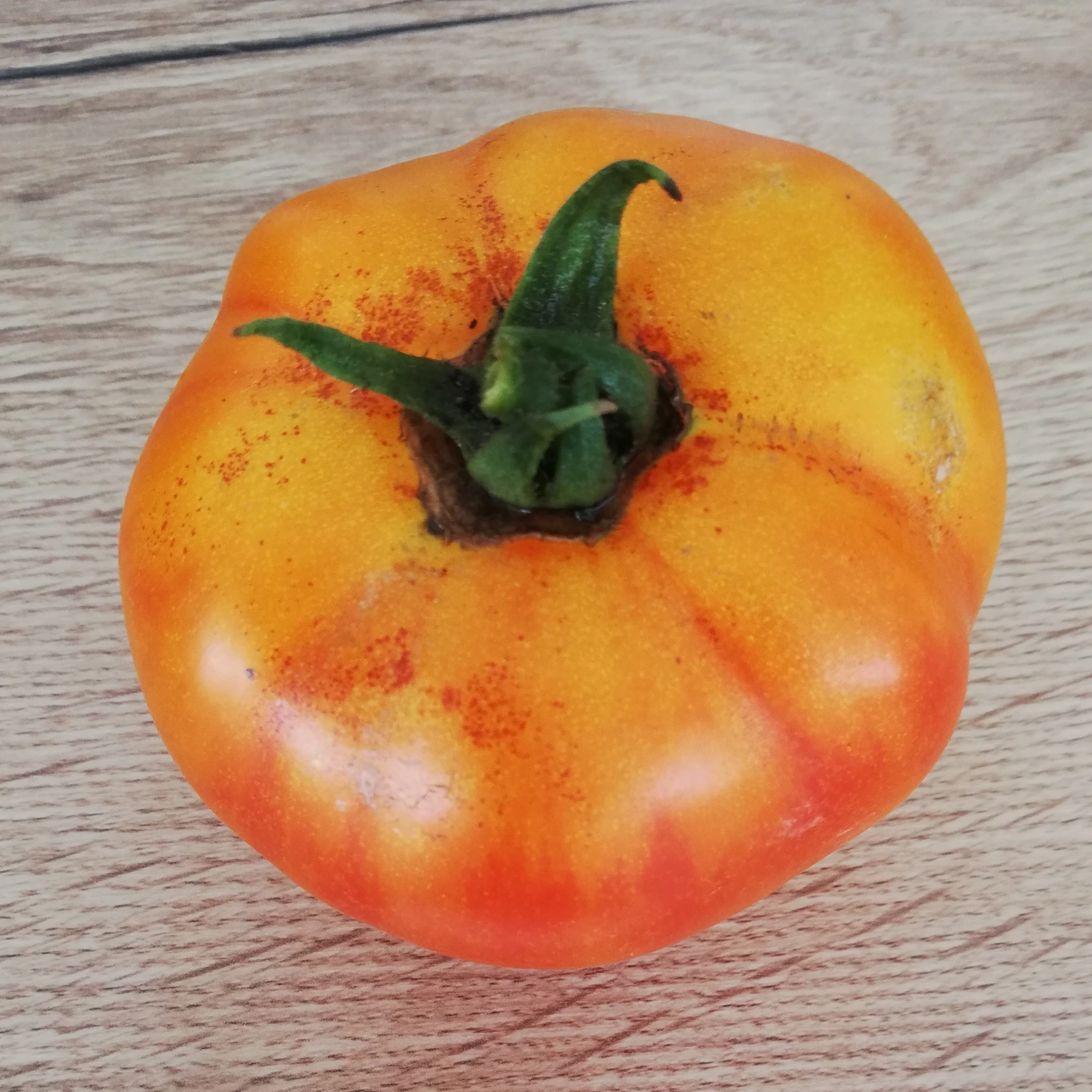 [S78420] Tomate Skykomish - 15 graines