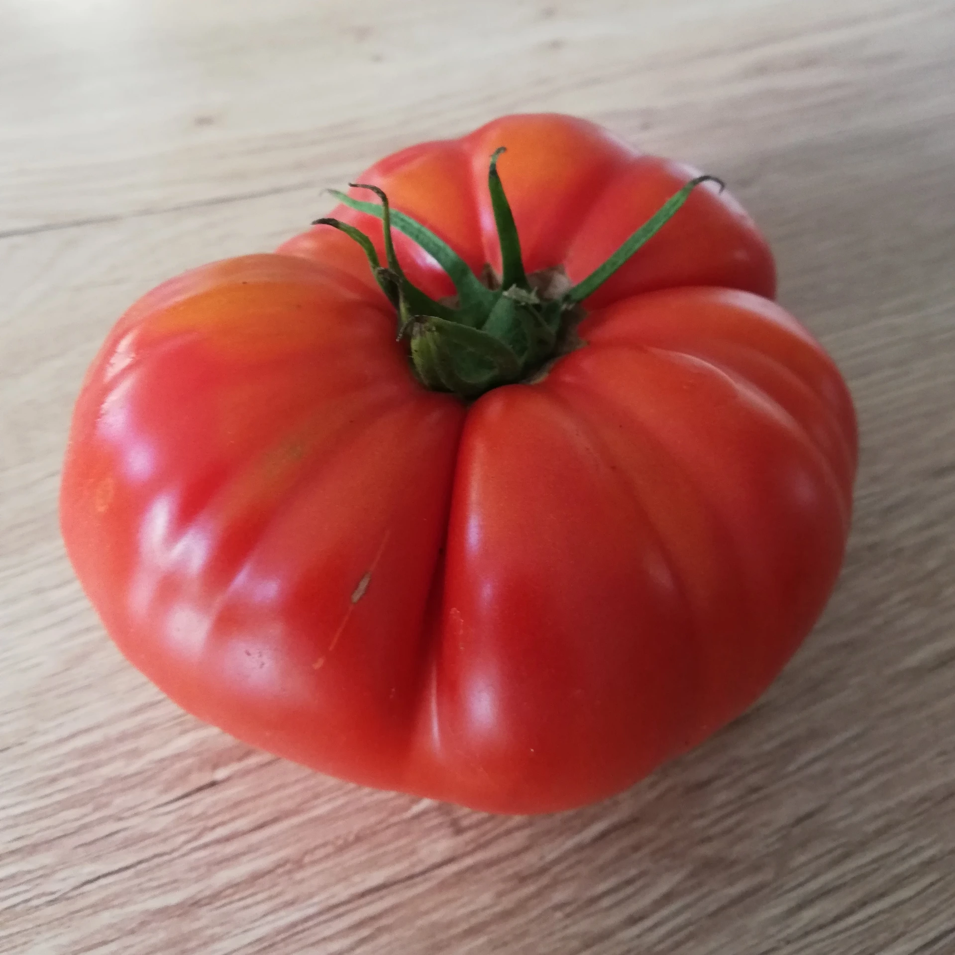 [S78455] Tomate Suzy - 15 graines