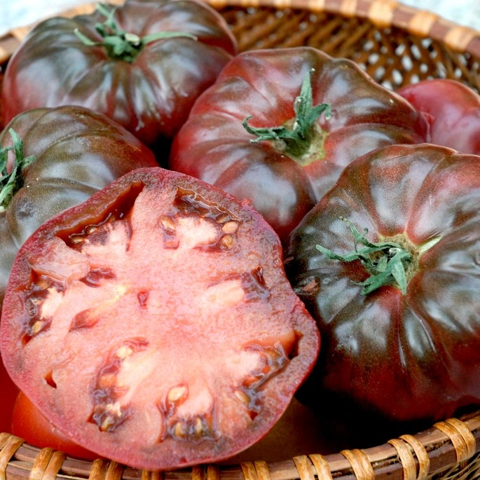 [S78900] Tomate noire Ananas - 10 graines