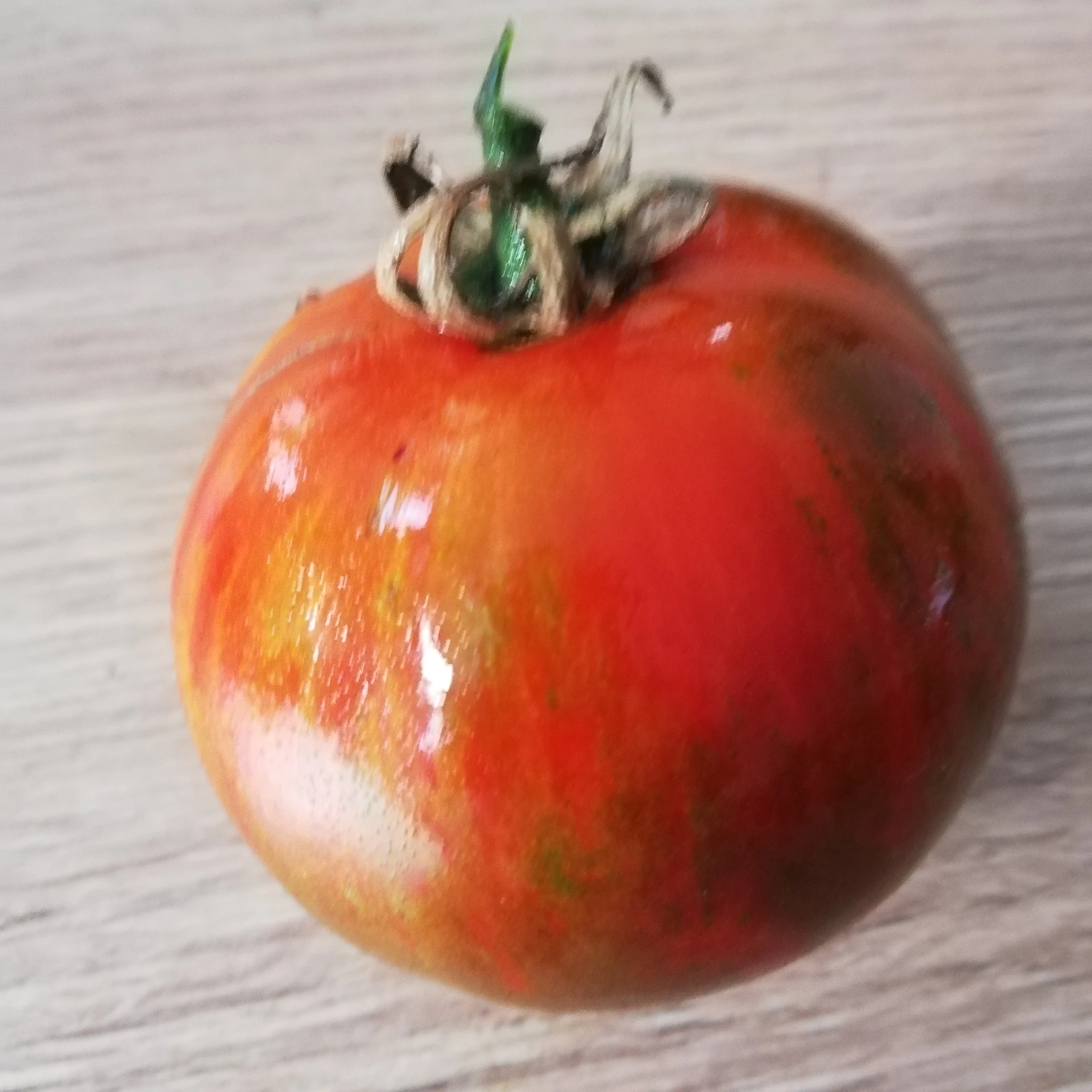 [S78905] Tomate noire Black Zebra - 15 graines