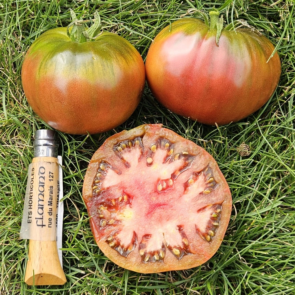 [S78910] Tomate noire de Crimée - 15 graines