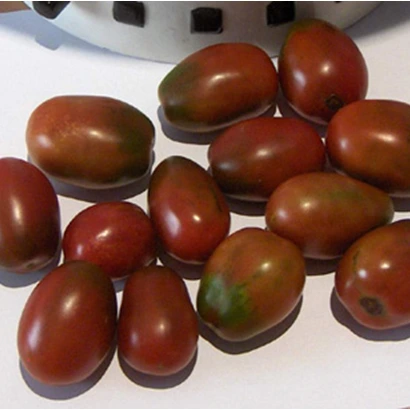 Tomate cerise noire Prune - 15 graines