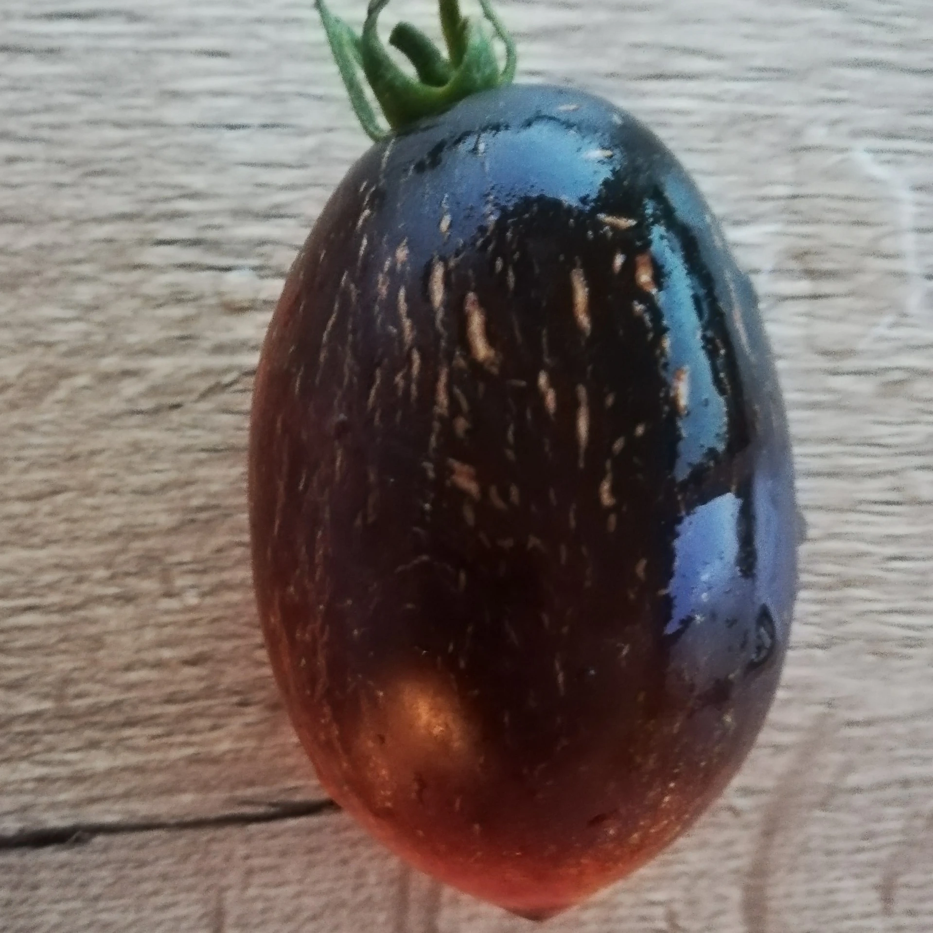 [S78927] Tomate noire Gargamel - 15 graines