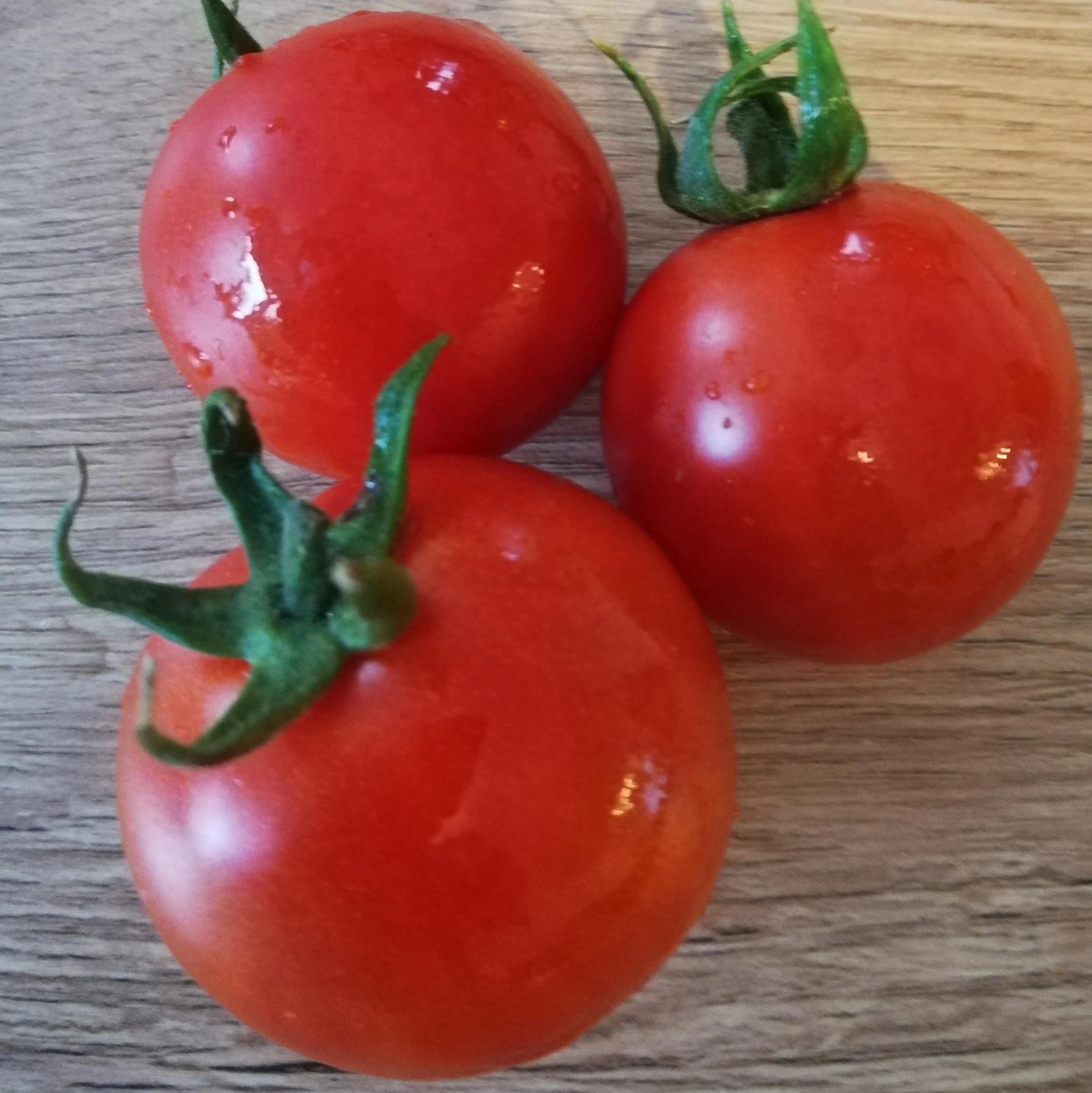 Tomate cocktail Resibella - 15 graines