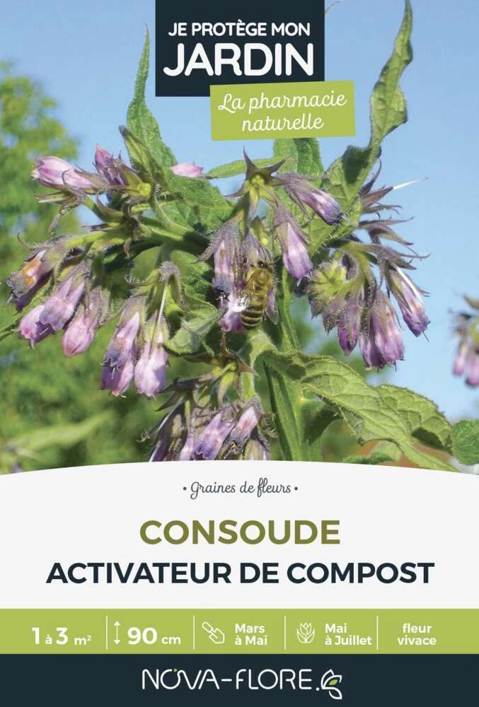 [25601] Consoude  - 1 à 3 m²