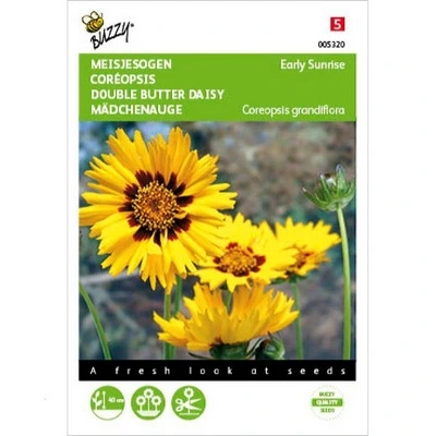 [B5320] Coreopsis Early Sunrise - 25 graines