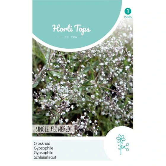 [H5365] Gypsophile Panicule Blanc - 0,5 g