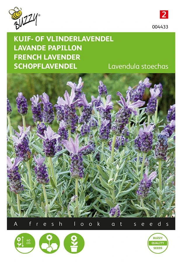 [B4433] Lavande papillon - 0,1 g