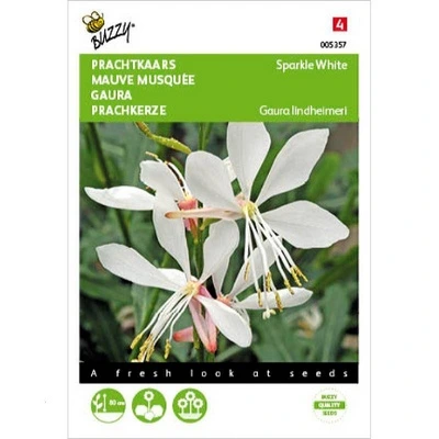 [B5357] Gaura Sparkle White - 15 graines