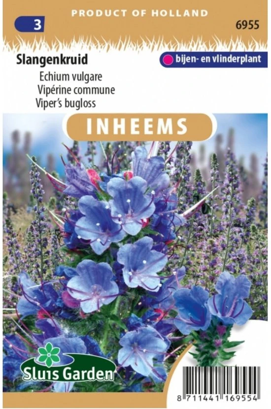 [R6955] Vipérine commune - 0,5 g - ca. 150