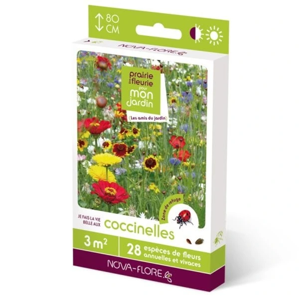 [N25508] Prairie fleurie - Coccinelles - 3 m²