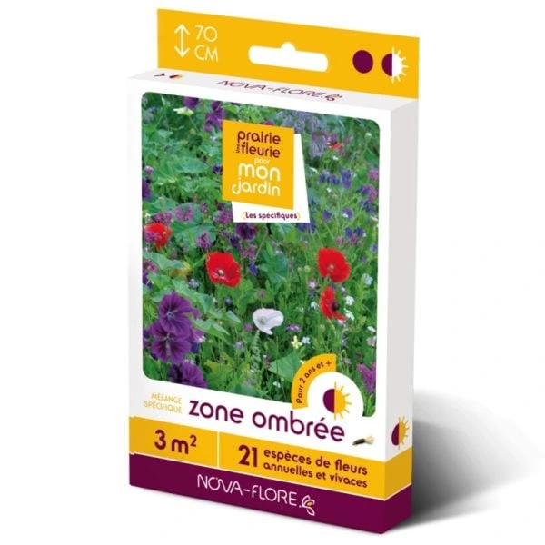 Prairie fleurie Spécifiques - Zone ombrée - 3 m²