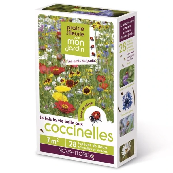 Prairie fleurie - Coccinelles - 7 m²