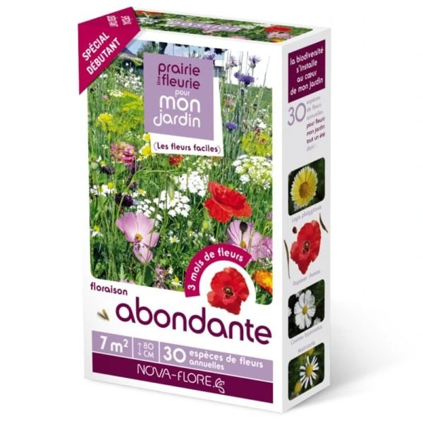 Prairie fleurie - Floraison abondante - 7 m²