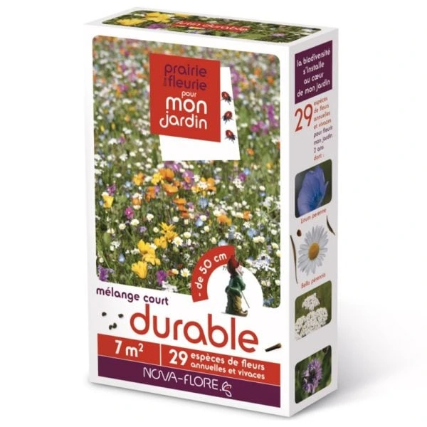 [N25196] Prairie fleurie Lutins - Durable - 7 m²