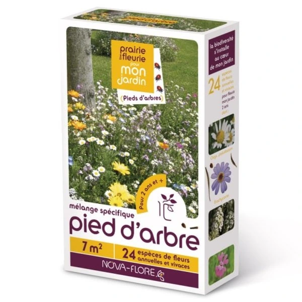 Prairie fleurie Spécifiques - Pied d'arbre - 7 m²