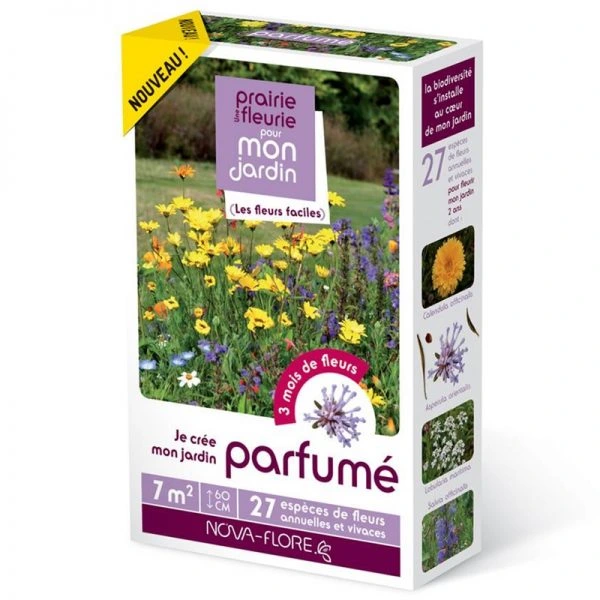 Prairie fleurie - Mon jardin parfumé - 7 m²