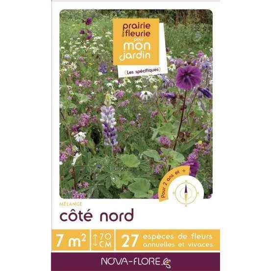 Prairie fleurie Spécifiques - Côté nord - 7 m²