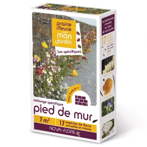 Prairie fleurie Spécifiques - Pied de mur - 7 m²