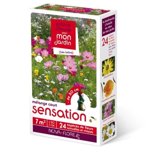 [N25254] Prairie fleurie Lutins - Sensation - 7 m²