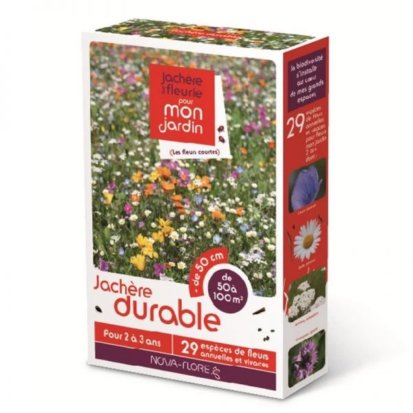 Jachère fleurie Durable - 50 À 100 m²