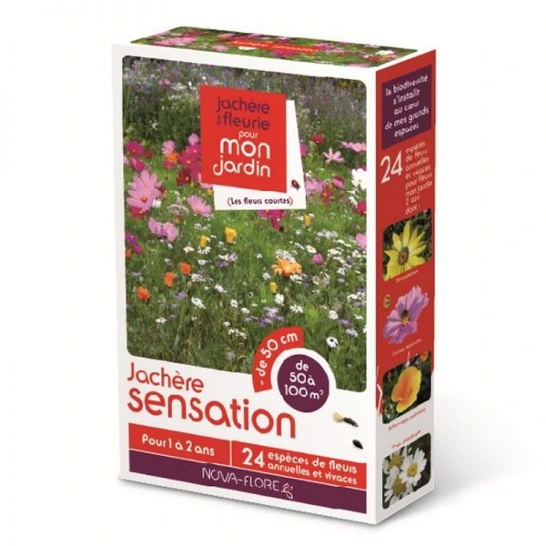 [N25917] Jachère fleurie Sensation - 50 À 100 m²