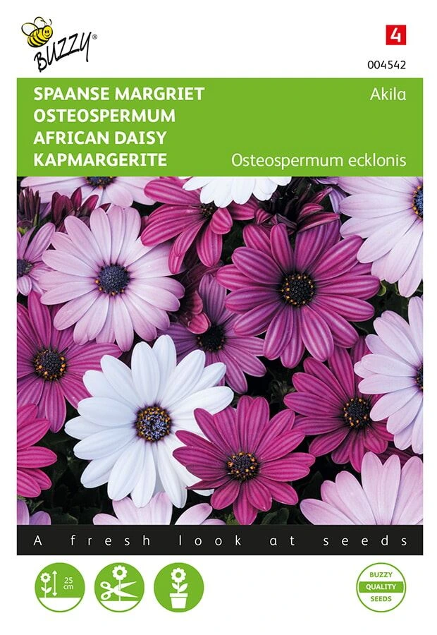 Osteospermum Akila - 10 graines