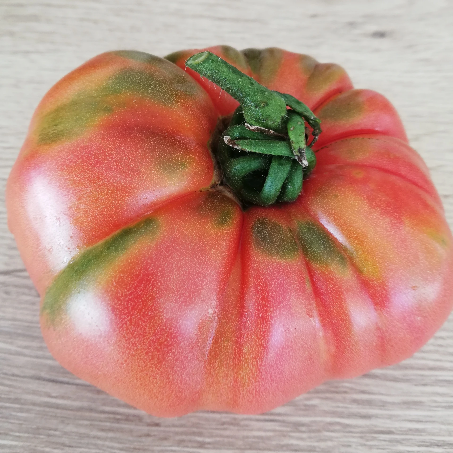 [S78465] Tomate Talbot Russian - 15 graines