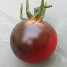 Tomate cerise Helsing Junction Blues - 15 graines