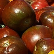 Tomate cerise Purple Bumble Bee - 15 graines 