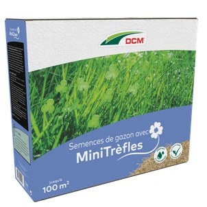 [1007077] Minitrèfles 2 kg / 100 m²
