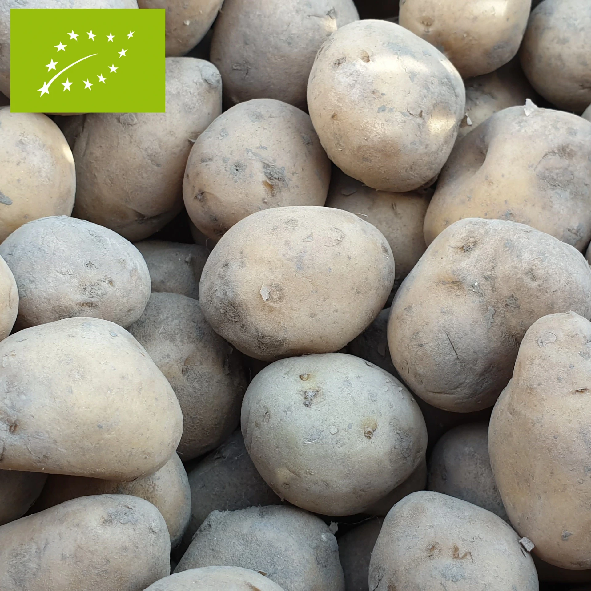 PDT Vitabella Bio 30/40