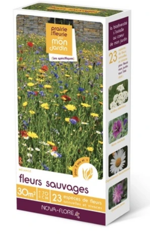 Prairie fleurie - Fleurs sauvages - 30 m²