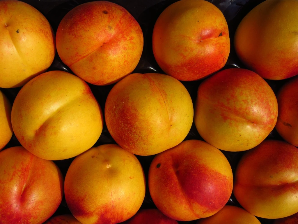 Nectarine 'Flavortop' Basse-Tige 5 L