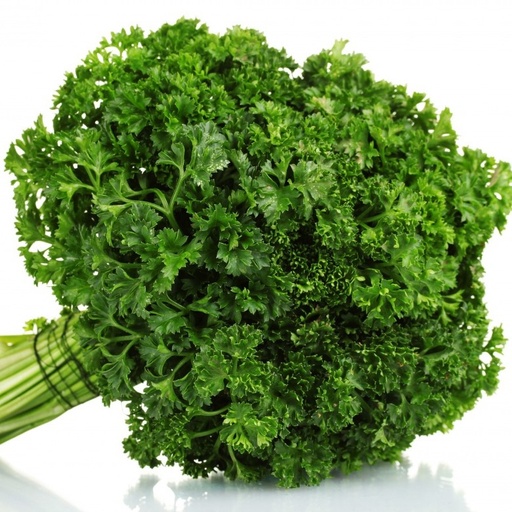 [P5910005] Persil frisé double

 Plant en motte