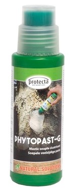 [BELGA130311] Phytopast G (250g)