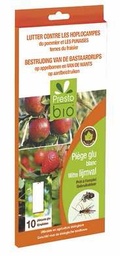 [PB1-4004] Piège à glu blanc hoplocampe du pommier et punaises du fraisier (10 pièces)