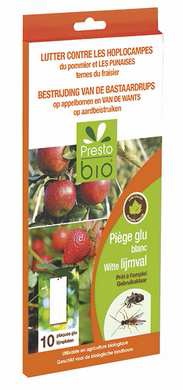 [PB1-4004] Piège à glue blanc hoplocampe du pommier et punaises du fraisier (10 pièces)