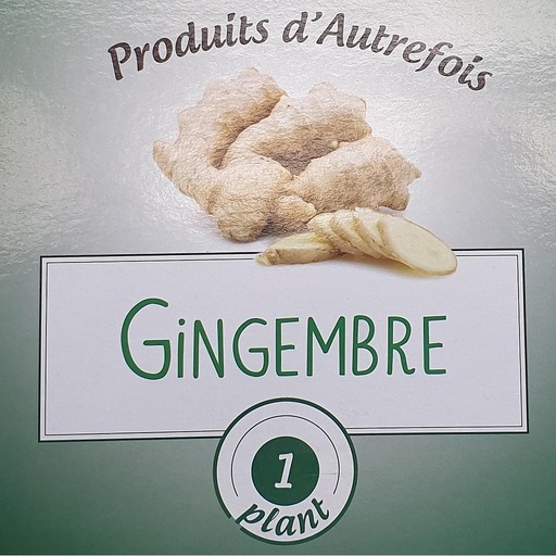 [AZGEMB] Gingembre . (Semences)