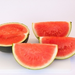 [P5154092] Melon pastèque Sugar Baby
 Plant en pot de 9x9x10 cm