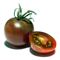 [P7892283] Tomate  noire Kumato
 Plant en pot de 8X8 cm