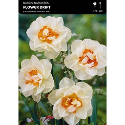 [BU061010V] Narcisse Double Flower Drift