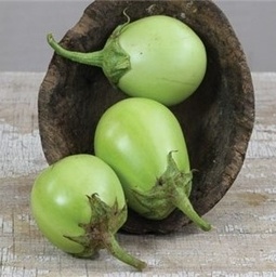 [S06074] Aubergine verte Apple Green (semence)