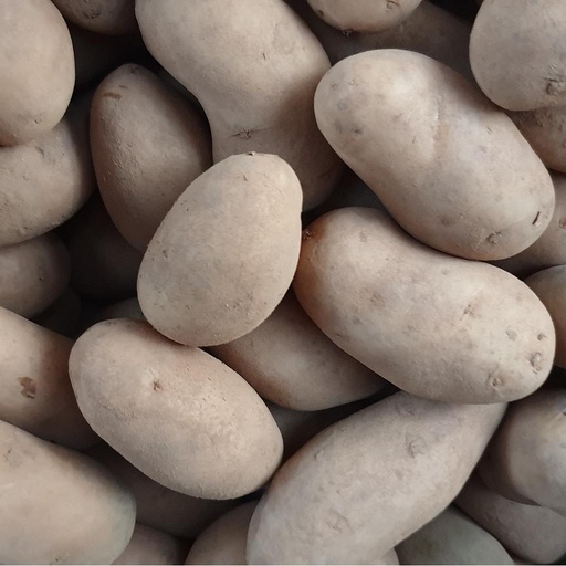 [AMAND25] Pomme de terre Amandine