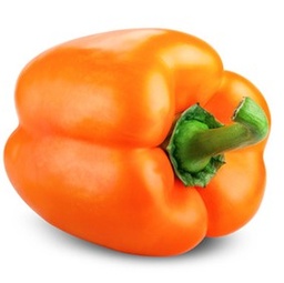 [P6593292] Poivron  carré orange Beluga® Orange F1
 Plant en pot de 9x9x10 cm