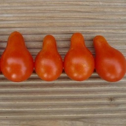 [P7910083] Tomate cerise Poire
 Plant en pot de 8X8 cm