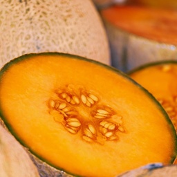 [P5120592] Melon Sucrin de Tours
 Plant en pot de 9x9x10 cm