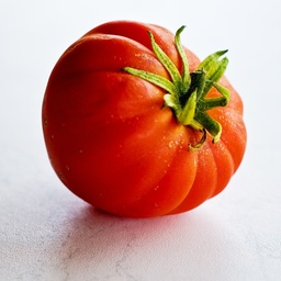 [P7820210] Tomate greffée  Gourmandia F1
 Plant en pot de 11X11 cm