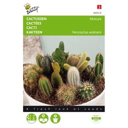 [B5510] Cactus Mix (Semences)
