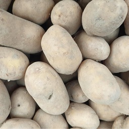 [DITBIO28] Pomme de terre Ditta bio